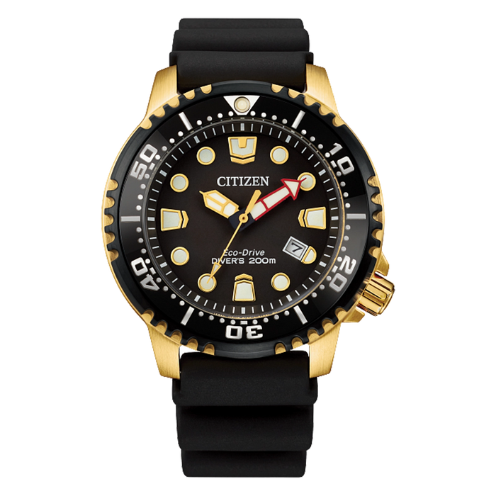 Promaster Dive BN0152-06E