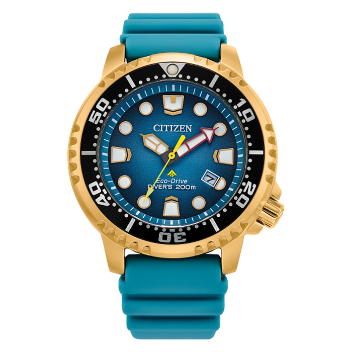 Promaster Dive BN0162-02X