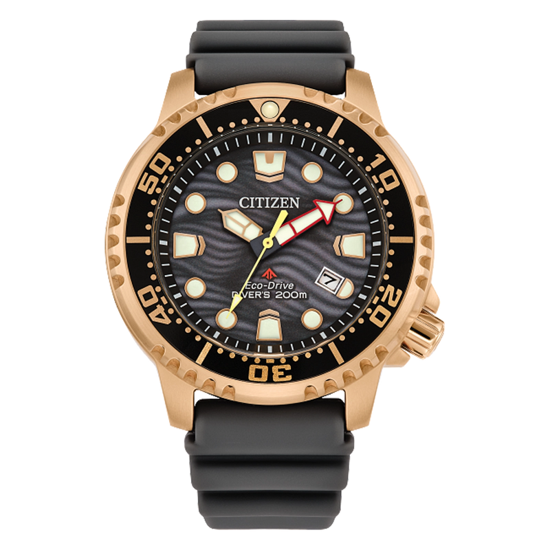Promaster Dive BN0163-00H