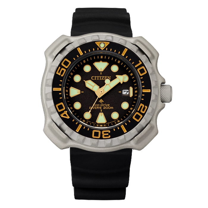 Promaster Dive BN0220-16E
