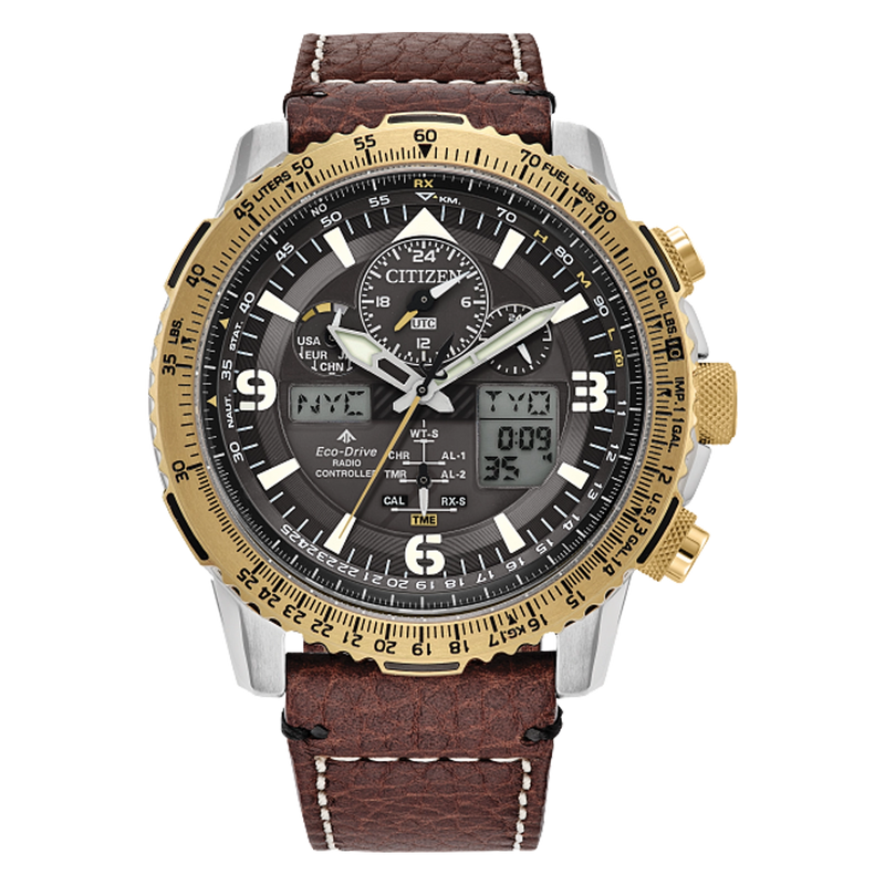 Promaster Skyhawk A-T JY8084-09H