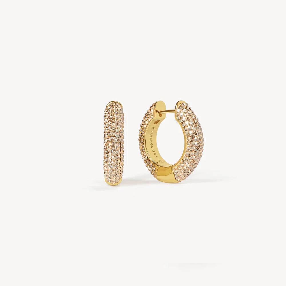 Sparkle Hoop Earrings