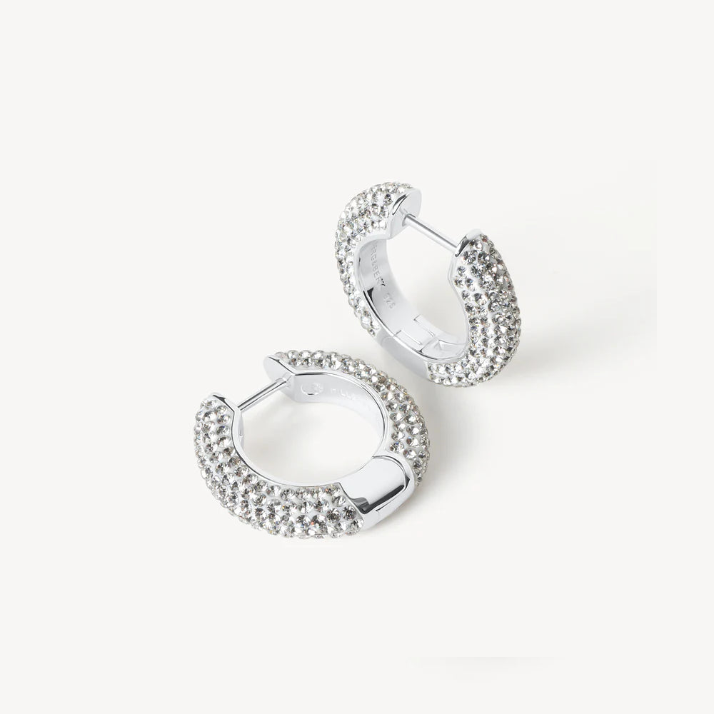 Sparkle Hoop Earrings